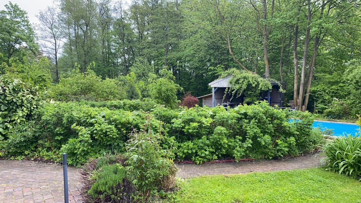 Вилла Haus West Mechelsdorf Экстерьер фото